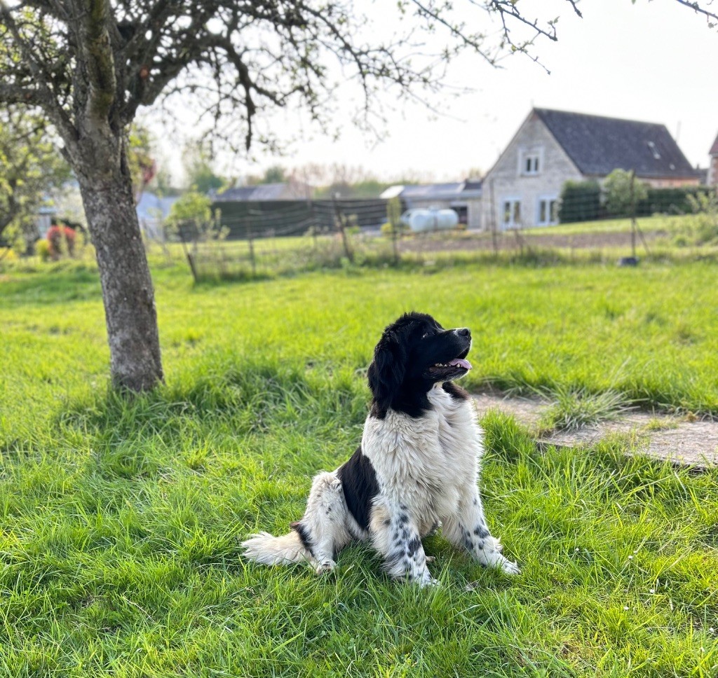 Ultime victoire Des Oursons De L'Aisne
